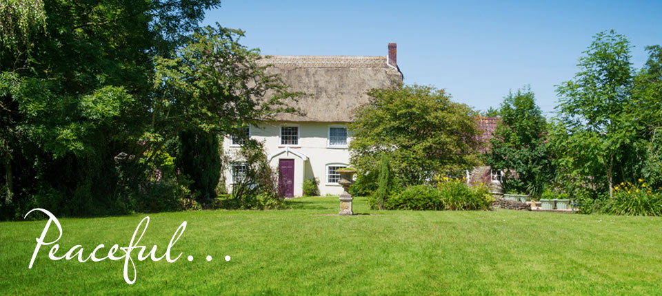pic_home