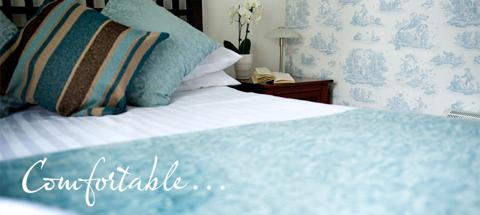 pic_home2